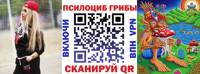 Купить где  Морозовск  Галлюциногенные грибы Cubensis 