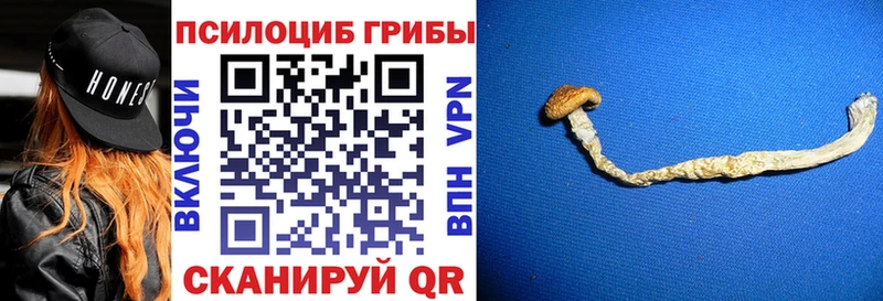 Псилоцибиновые грибы Magic Shrooms Морозовск