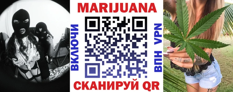 Купить где  Морозовск  Конопля план 
